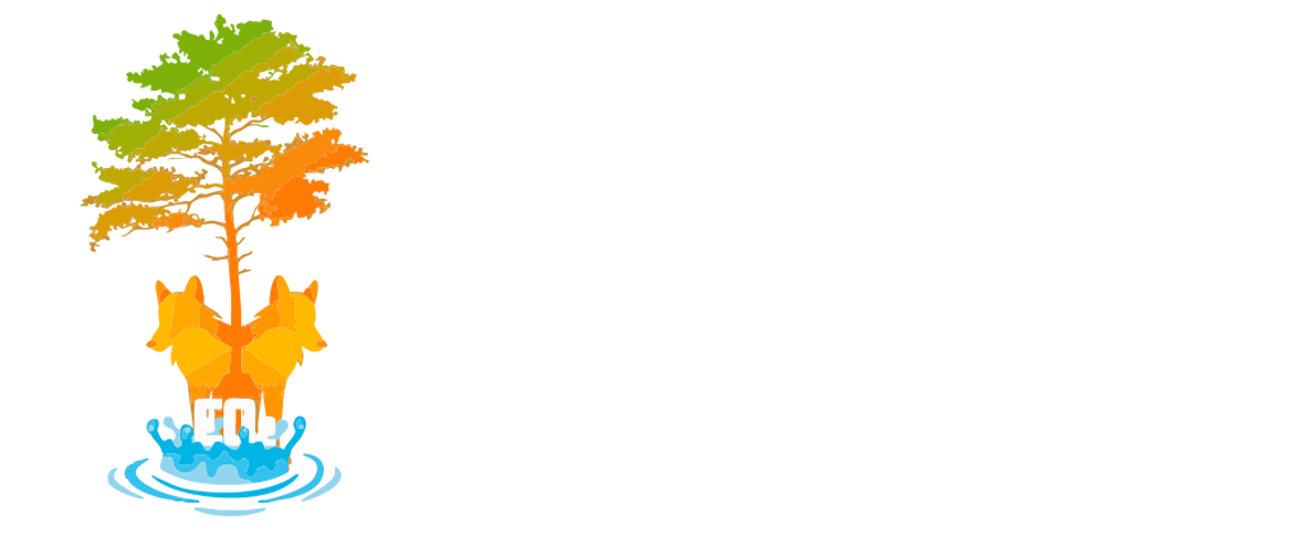 CDFAI