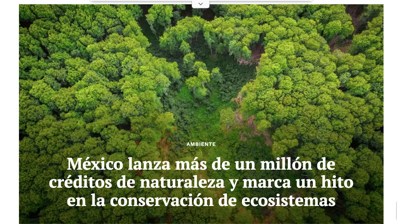 Noticias ambientales - México lanza más de un millón de créditos de naturaleza y marca un hito en la conservación de ecosistemas